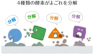 hyakka 石けん百貨 セスキプラス 粉末タイプ 洗濯用洗剤 セスキ炭酸 粉 アルカリ 酵素 時短 部屋干し 消臭 無香料 無添加 無配合 界面活性剤フリー キレート剤 石油由来 不使用 石鹸 ラベンダー シトラス ゼラニウム ローズマリー 香油 エッセンシャルオイル 石鹸百科