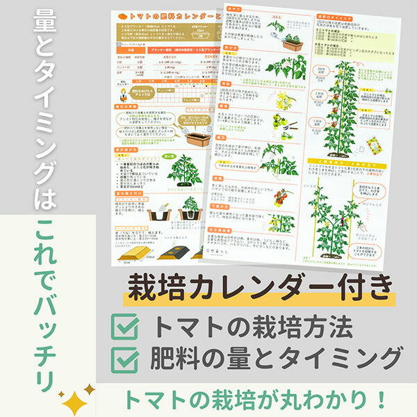 トマトおすすめセット240g