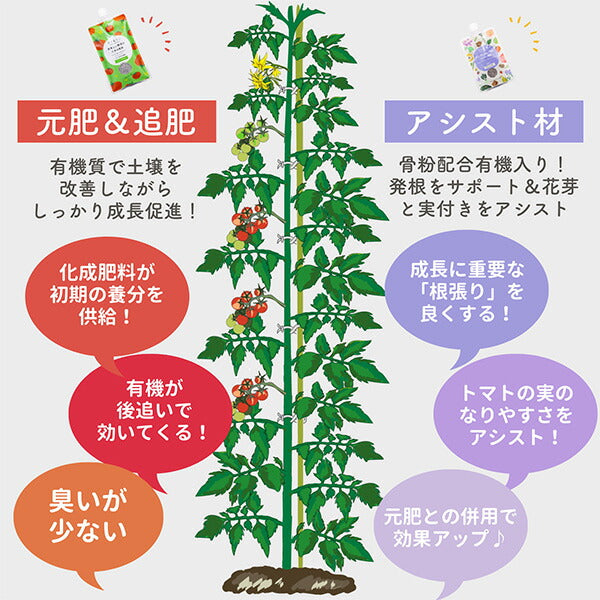 トマトおすすめセット240g