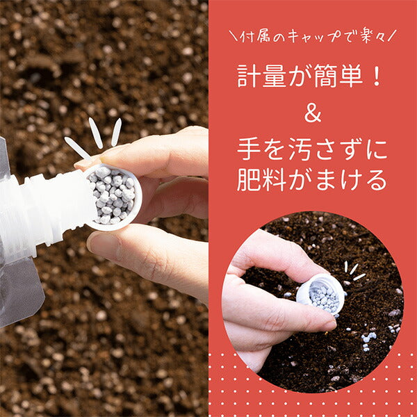 トマトおすすめセット240g