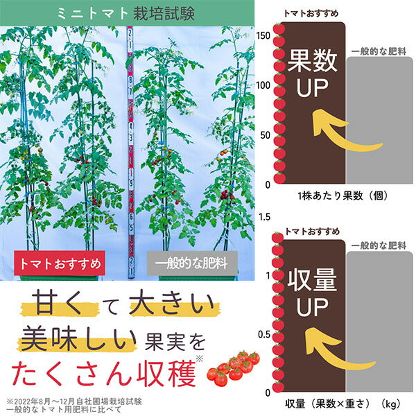 トマトおすすめセット240g