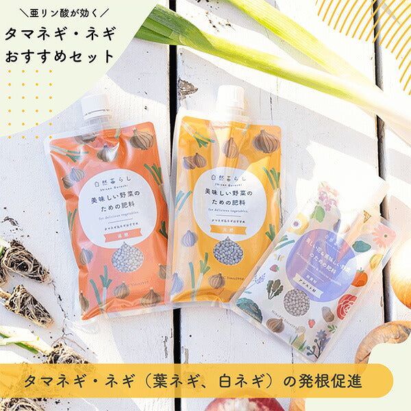 タマネギ・ネギおすすめセット450g