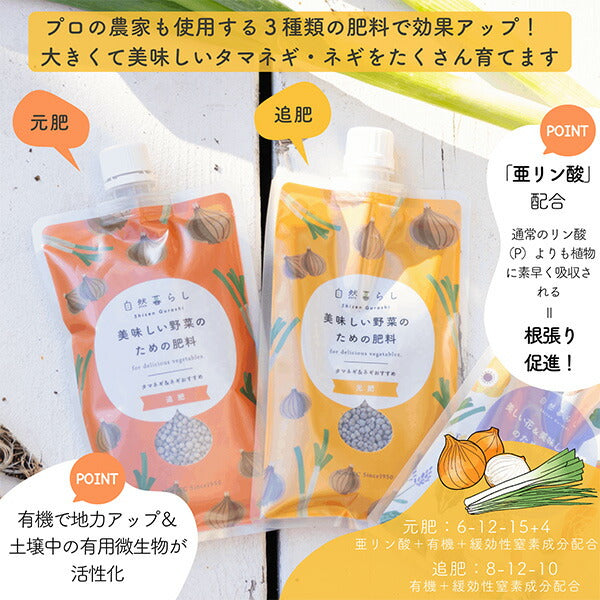 タマネギ・ネギおすすめセット450g