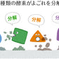 hyakka 石けん百貨 セスキプラス 粉末タイプ 洗濯用洗剤 セスキ炭酸 粉 アルカリ 酵素 時短 部屋干し 消臭 無香料 無添加 無配合 界面活性剤フリー キレート剤 石油由来 不使用 石鹸 ラベンダー シトラス ゼラニウム ローズマリー 香油 エッセンシャルオイル 石鹸百科