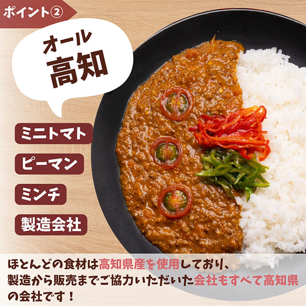 イチネン高知日高村農園 キーマカレー