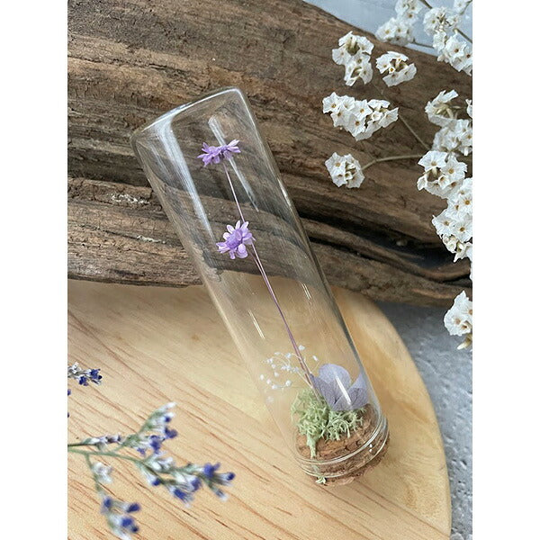 プリザーブドフラワー small buds ガラス瓶入り ラッピング済