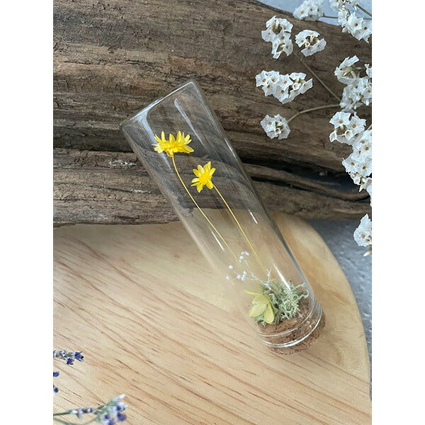 プリザーブドフラワー small buds ガラス瓶入り ラッピング済
