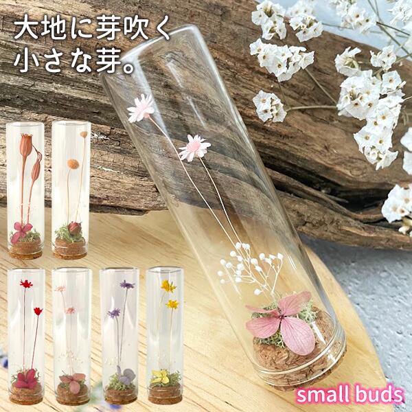 プリザーブドフラワー small buds ガラス瓶入り ラッピング済