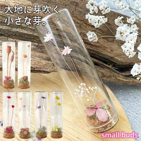 プリザーブドフラワー small buds ガラス瓶入り ラッピング済