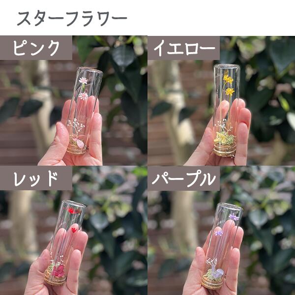 プリザーブドフラワー small buds ガラス瓶入り ラッピング済